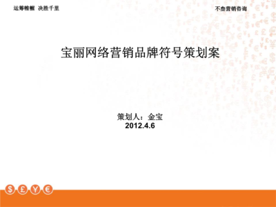 寶麗網絡營銷品牌符號策劃案